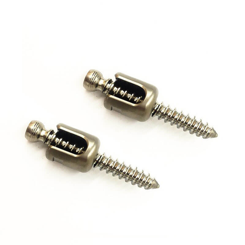 polyaxial pedicle screw