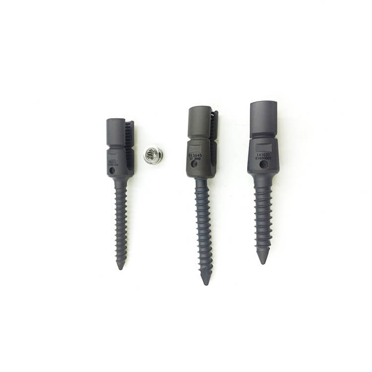 polyaxial pedicle screw1