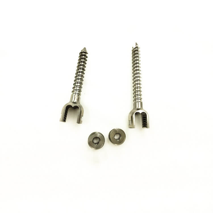 polyaxial pedicle screw6